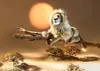 Steiff 064135 Leo Löwe, 43 cm, blond liegend Produktbild-Vorschau 3