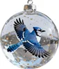A clear, professional shot of a Christmas ornament in the shape of a transparent sphere with a blue jay inside, set against a white background. Produktbild-Vorschau