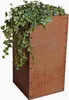 A planter box with ivy growing over the side, set against a white background. Produktbild-Vorschau
