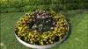 A circular flower bed with yellow and pink flowers, bordered by a metal ring, set on a green lawn with a hedge in the background. Náhled obrázku produktu