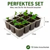 12-Zellen Anzuchtplatte, wiederverwendbar,Mini-Anzuchtbox, Produktbild-Vorschau 2