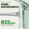 Folien Gewächshaus TOM GH-600 | 6 m² 200×200×300 cm (B×H×T) Produktbild-Vorschau 10