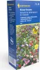 Artikelbild 1 von 'Blumenmischung Flower Dreams' aus der Kategorie Blumensamenmischung Produktbild-Vorschau
