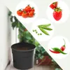 Fortena Tomatenanzuchttopf 28L mit Rankhilfe Höhe 153 cm Produktbild-Vorschau 8
