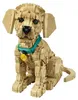 LEGO ICONS 11384 Golden Retriever Puppy Anteprima dell’immagine prodotto 17