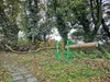 Timber Croc Holz Halter, grün, Sägebock mit Holzhalterung, Produktbild-Vorschau 6