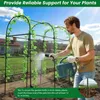 Arche de jardin - Treillis pour plantes grimpantes Arche de Voir les images du produit 5