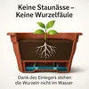 4x Blumenkasten 80cm Balkonkasten mit Wasserspeicher Produktbild-Vorschau 3