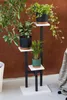 A multi-tiered plant stand with three potted plants against a textured brown background. Náhled obrázku produktu