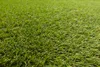 KUNSTRASEN ALVIRA Fertigmaß Grün 300x400 cm Produktbild-Vorschau 3