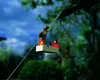 Mini-Seilbahn Bausatz Produktbild-Vorschau 7