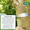 Spanngurt 3-teilig für Sonnensegel Produktbild-Vorschau 9