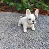 Statua da giardino Bulldog francese cucciolo Set di 3 pezzi Anteprima dell’immagine prodotto 4