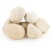 Rocce per acquario Otoczak crema 300 g, pietre naturali Anteprima dell’immagine prodotto 1
