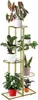 A multi-tiered metal plant stand with several potted plants. Náhľad obrázku produktu