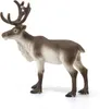 Schleich 14837 Schleich Wild Life         14837 Rentier Voir les images du produit 3