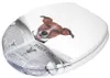 SANILO® WC-bril, direct van de fabrikant, toiletbril, Productafbeelding-voorbeeld 2