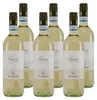 Zenato Custoza DOC -trocken- (6 x 0,75L) Produktbild-Vorschau 2