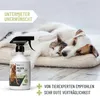 REAVET Milben Frei Spray 500ml, Milbenspray für Hunde, Produktbild-Vorschau 5