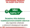 Royal Canin Size Mini Ageing +12 - 3,5 kg Podgląd zdjęcia produktu 5
