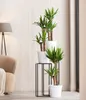 A living room scene with plants and furniture. Produktbild-Vorschau