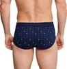 SCHIESSER Baumwolle Essentials sportslips (2-pack), Produktbild-Vorschau 17