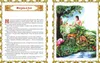 Bibel für Kinder Produktbild-Vorschau 2