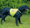 Gilet di sicurezza Trixie per cani - L Anteprima dell’immagine prodotto 11
