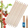 KOTARBAU® 15 Pièces Tuteur Tomate Bois de Hêtre 120 cm Voir les images du produit 1