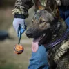 A person in camouflage clothing and blue jeans is holding a dog toy for a German Shepherd dog. Produktbild-Vorschau
