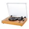 Schallplatten LP Plattenspieler Retro-Plattenspieler Produktbild-Vorschau 2