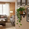 ModernHome ME-ATS01 Wandregal für Pflanzen, 19 x 19 x 25 Produktbild-Vorschau 4