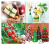 100M Gartenschnur, 3 mm Pflanzenbinder für Garten, Tomaten, Produktbild-Vorschau 4