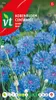 Semienka Centaury Bleuet Des Champs - cca 1 gr | VT_793 Náhľad obrázku produktu 1