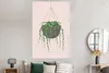MuchoWow® Poster Pflanzen - Hängender Blumentopf 120x180 cm Produktbild-Vorschau 4