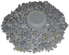 100 Schraubdosen 20ml Runddose Plastikdosen Labordose Produktbild-Vorschau 4