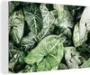 OneMillionCanvasses® - Leinwandbilder - 140x90 cm, Blätter Produktbild-Vorschau 1