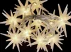 LED Lichterkette Sterne Lichtervorhang Beleuchtung Batterie Innen warmweiß 120cm Anteprima dell’immagine prodotto