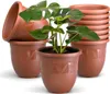 A group of terracotta-colored plant pots, with one pot in the foreground containing a Monstera plant. Produktbild-Vorschau