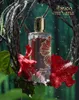 Paris Corner Ibisco Nirvana reines Parfüm unisex 65 ml Produktbild-Vorschau 8