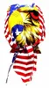 Bandana Kopftuch USA Adler, Bandana Headscarf American Produktbild-Vorschau 2