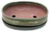 Bonsai-Schale mit Unterteller Gr. 3 - Oliv-Braun - oval - Produktbild-Vorschau 2
