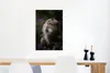 MuchoWow® Poster Affe - Dschungel - Schmetterling - Produktbild-Vorschau 5