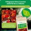 Purgrün -Amberbaum-Dünger 1 kg Produktbild-Vorschau 6