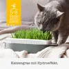 GIMCAT Hydro-Gras Gras – Leckerli für Katzen – 150g Produktbild-Vorschau 4