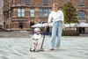 Scoot Ride Scoot e Ride Highwaykick 1Push Go Ash Anteprima dell’immagine prodotto 24