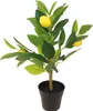 Decoris Künstlicher Zitronenbaum de 43 cm im Topf, Produktbild-Vorschau 2