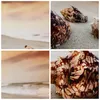 Bild auf Leinwand - Leinwandbild - Strand schön karibisch Produktbild-Vorschau 8