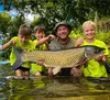 TB Baits Booster Amur 500 ml Náhľad obrázku produktu 5
