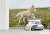 MuchoWow® Fototapete für Wohnzimmer oder Schlafzimmer Produktbild-Vorschau 5